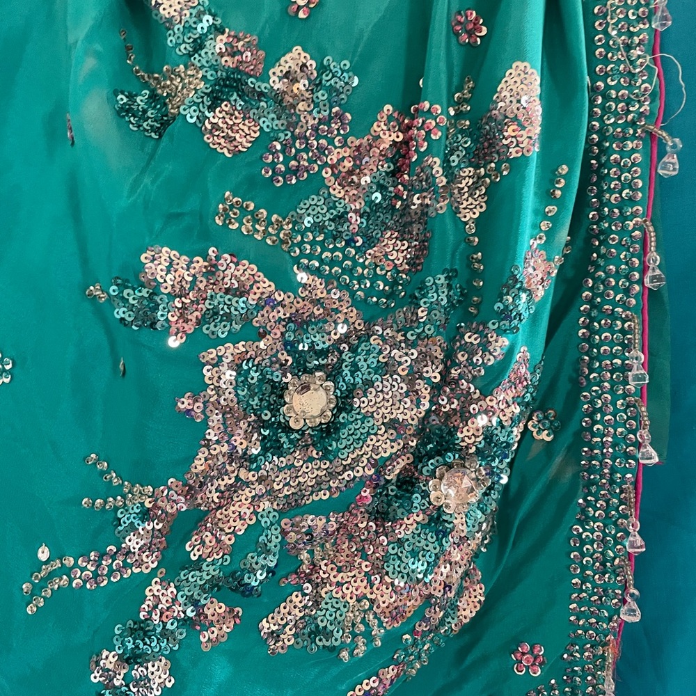 Beautiful Indian Saree!